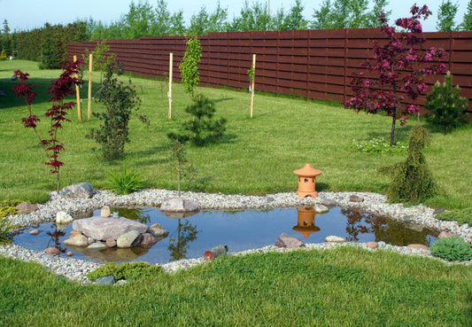 Création d'un bassin : on vous explique tout !