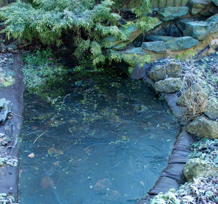 Bien préparer la création de son bassin de jardin