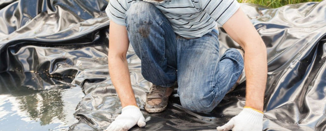 Entretenir son bassin de jardin