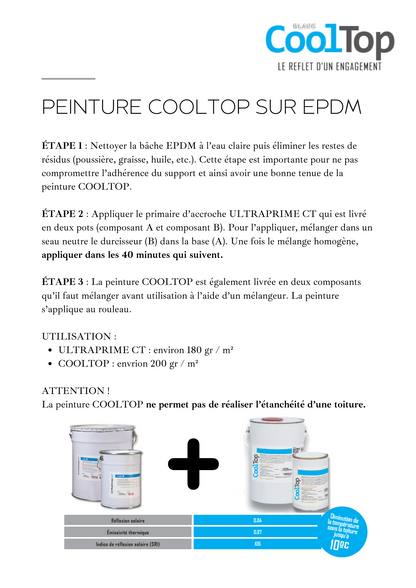 Peinture blanche CoolTop 5kg